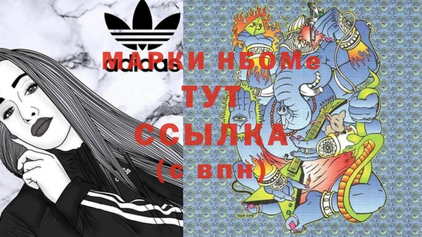стаф Баксан