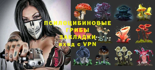 дживик Белоозёрский