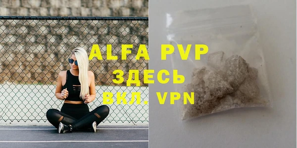 молекула духа Балахна